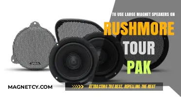Upgrade Your Ride: Installing Large Magnet Speakers in Rushmore Tour Pak
