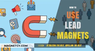 Mastering Lead Magnets: Strategies to Attract and Convert Prospects Effectively