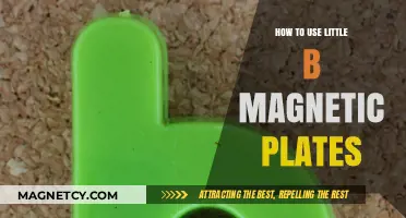 Mastering Little B Magnetic Plates: Creative Crafting Tips and Techniques