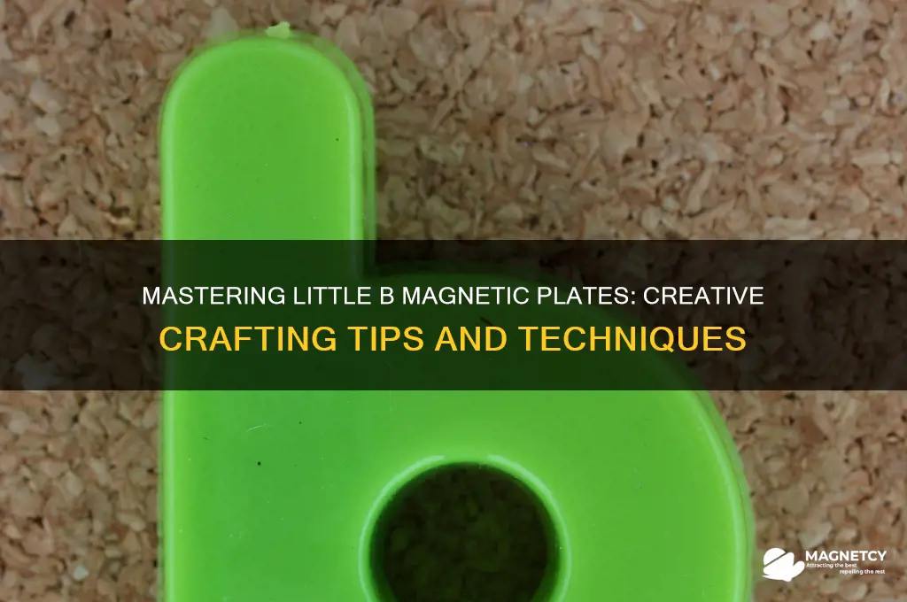 how to use little b magnetic plates