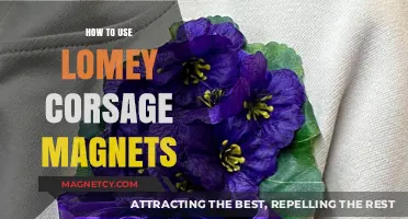 Mastering Lomey Corsage Magnets: A Simple Guide for Perfect Wear