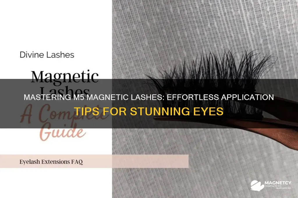 how to use m5 magnetic lashes