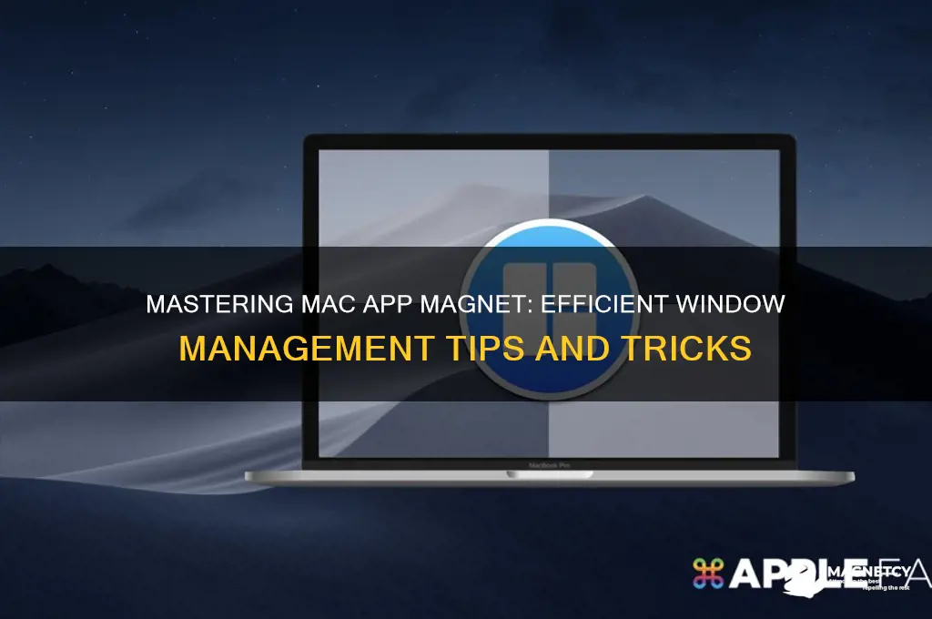 how to use mac app magnet