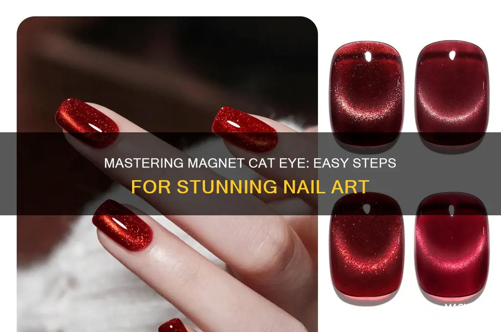 how to use magnet cat eye