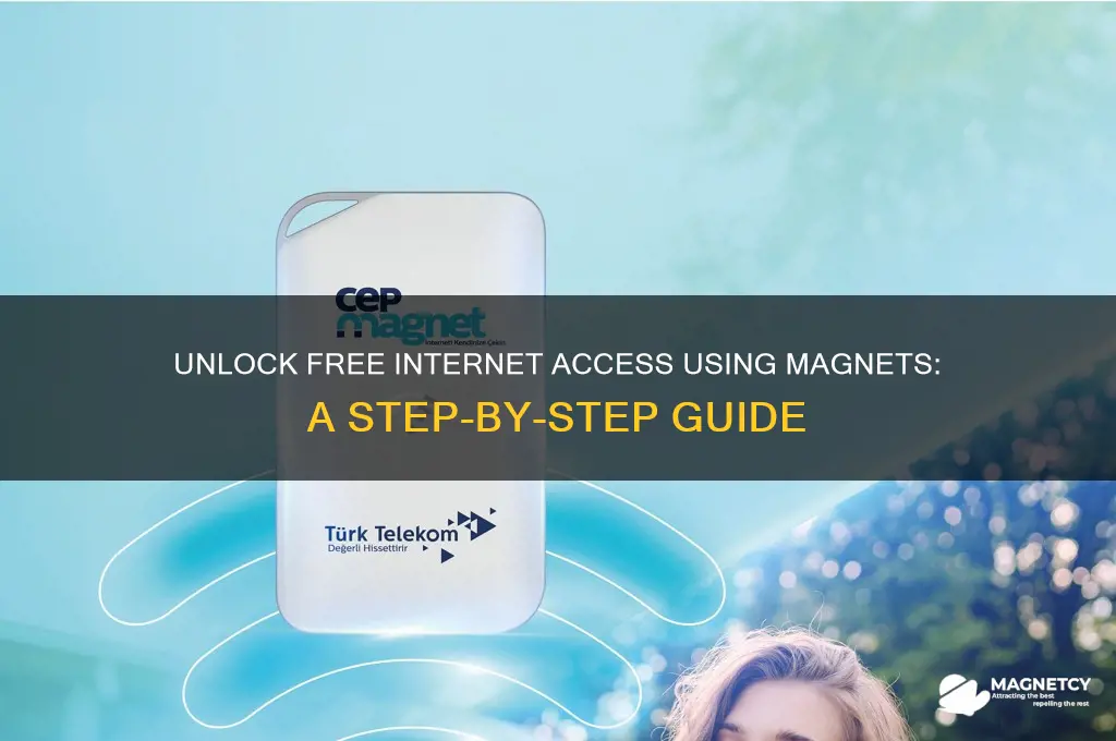 how to use magnet for free internet