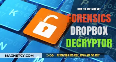 Unlocking Dropbox Data: A Guide to Magnet Forensics Decryptor Tool