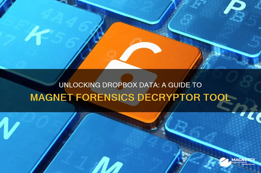 how to use magnet forensics dropbox decryptor