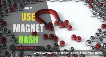 Mastering Magnet Hash: A Step-by-Step Guide to Efficient Torrenting