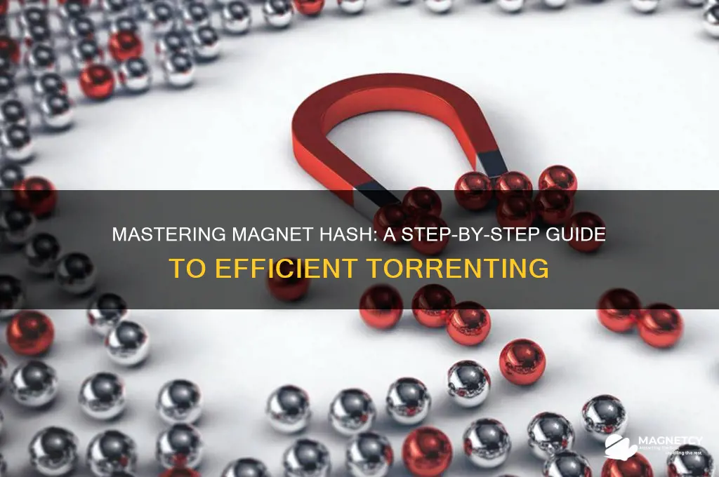 how to use magnet hash