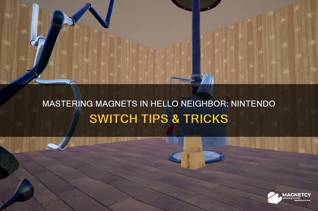 how to use magnet in hello neighbor nintendo switch