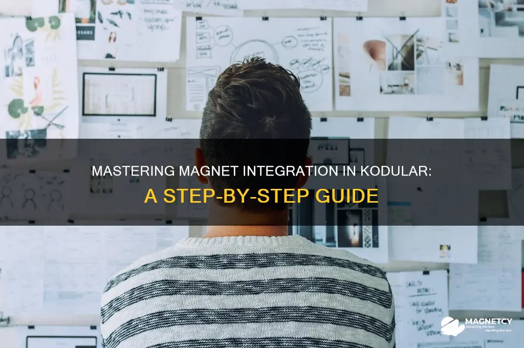 how to use magnet in kodular
