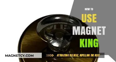 Mastering Magnet King: A Step-by-Step Guide to Effective Usage