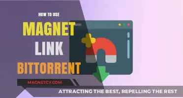 Mastering Magnet Links: A Step-by-Step Guide to BitTorrent Downloads