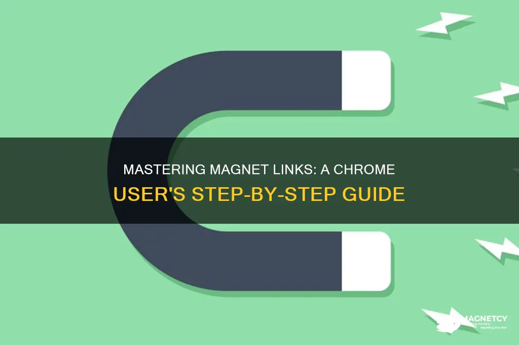 how to use magnet link in chrome