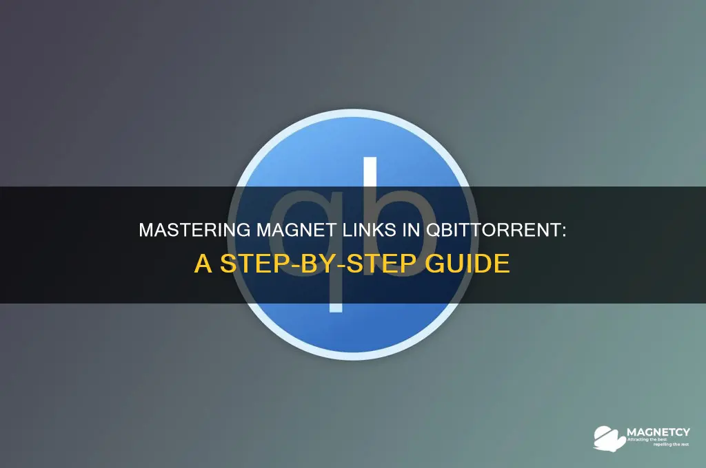 how to use magnet link in qbittorrent