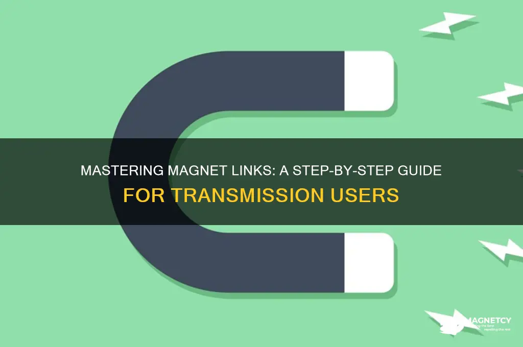 how to use magnet link in transmission