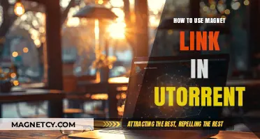 Mastering Magnet Links: A Step-by-Step Guide for uTorrent Users