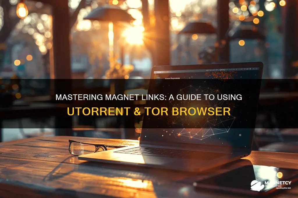 how to use magnet link utorrent torr browser