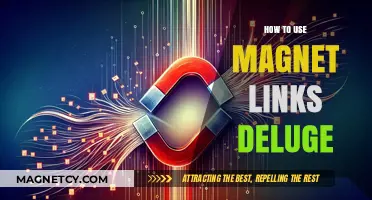 Mastering Magnet Links: A Step-by-Step Guide for Deluge Users