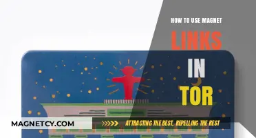 Using Magnet Links in Tor: A Secure Download Guide