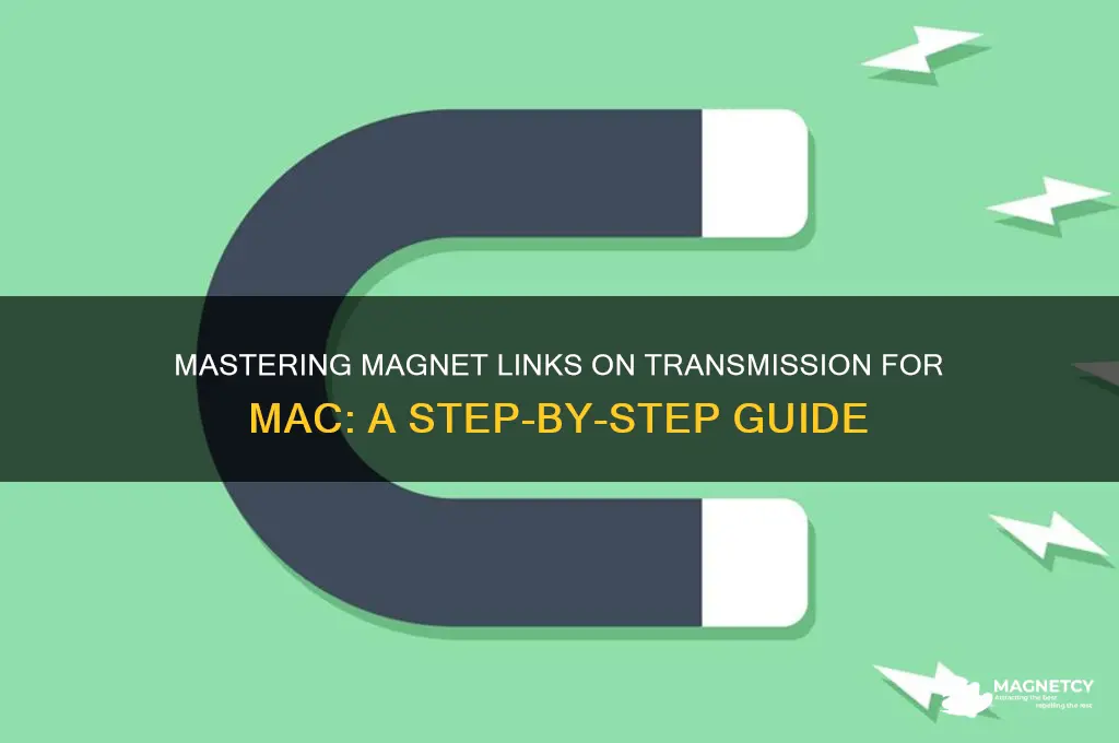 how to use magnet links on transmission mac