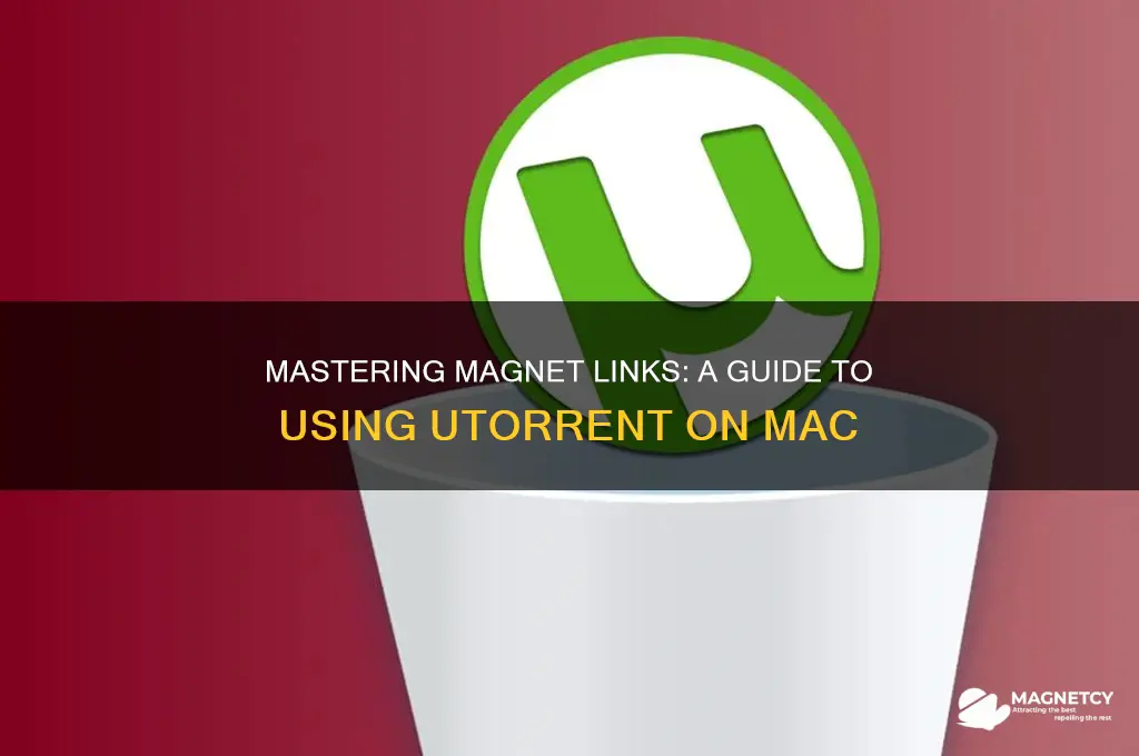 how to use magnet links utorrent mac