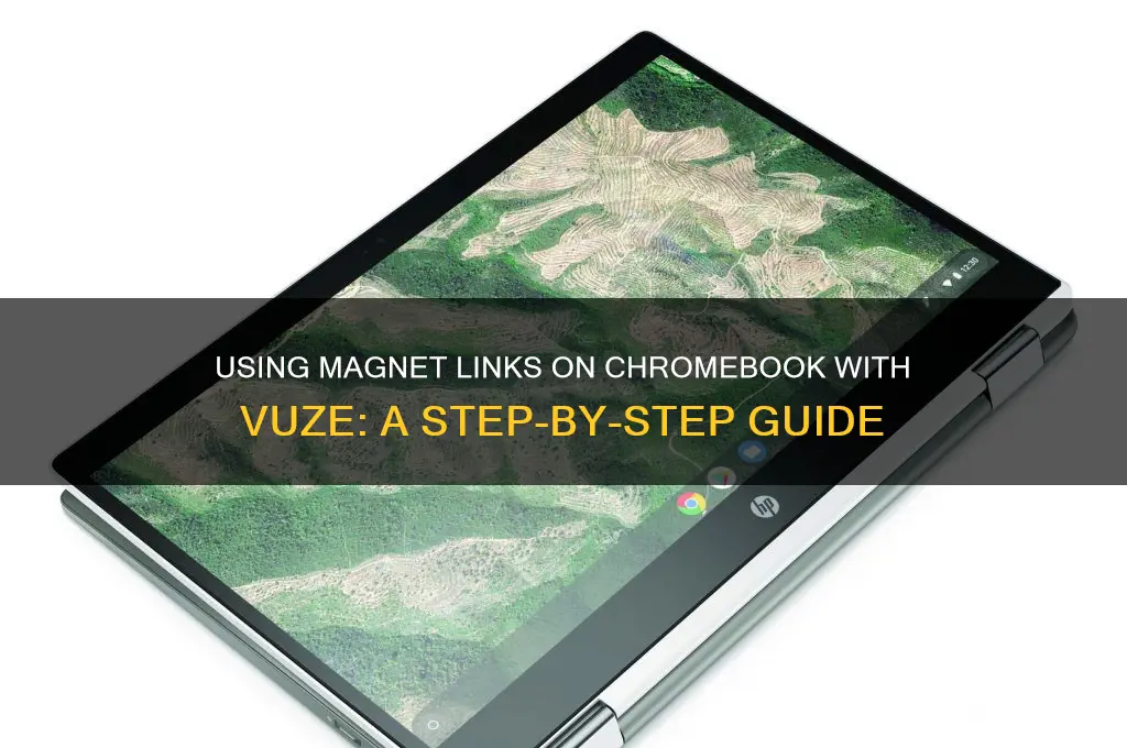 how to use magnet links with chromebook vuze