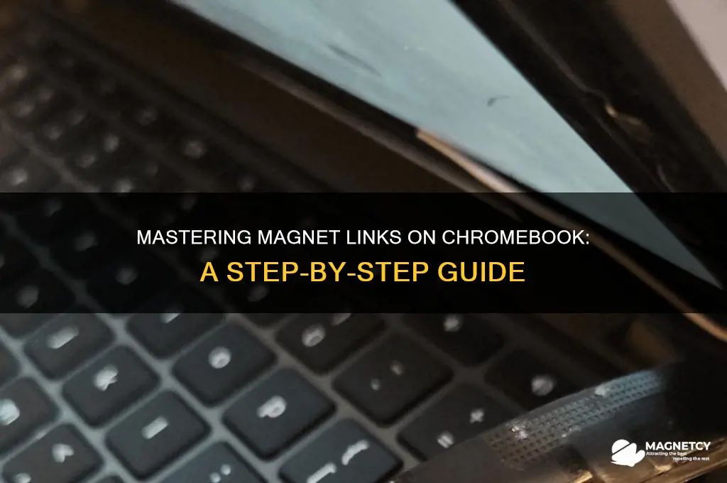how to use magnet links with chromebook