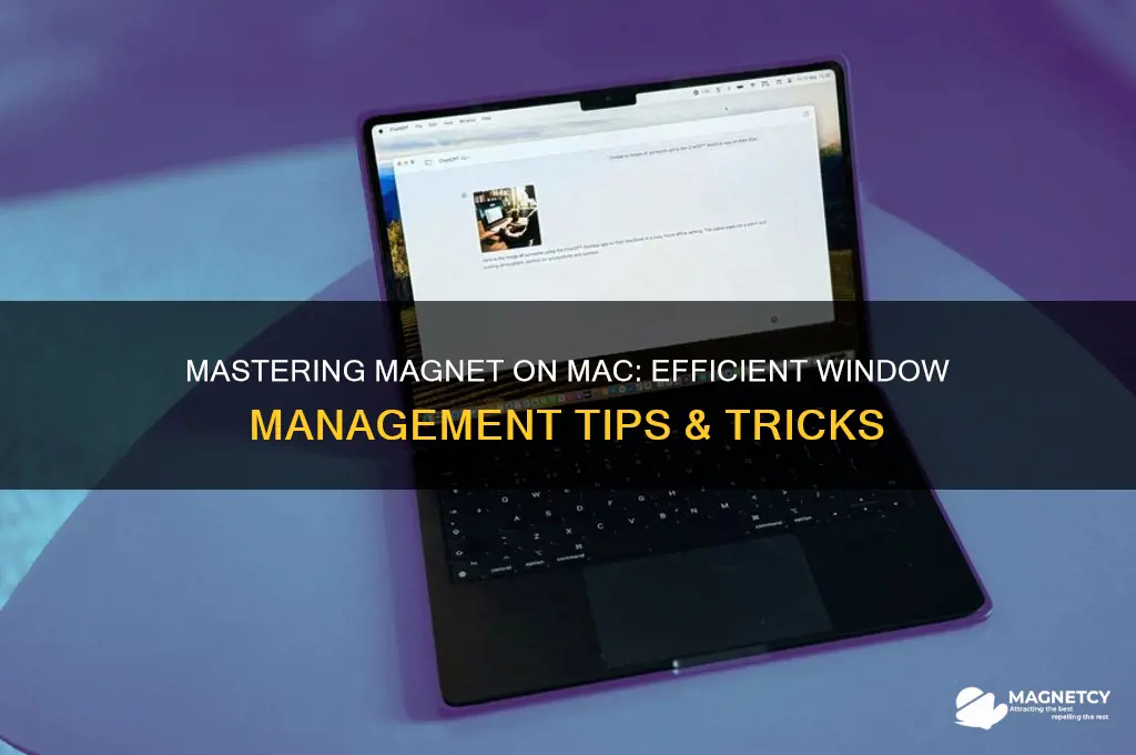 how to use magnet mac