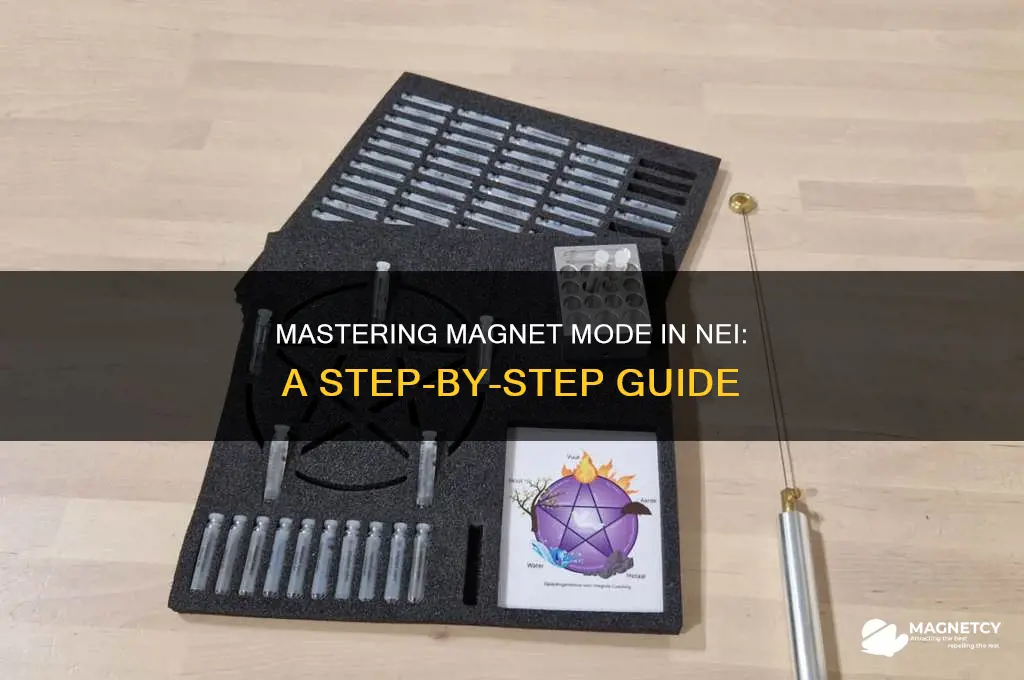 how to use magnet mode in nei
