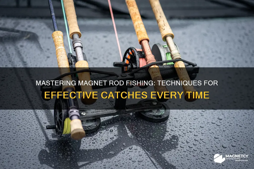 how to use magnet rod fisch