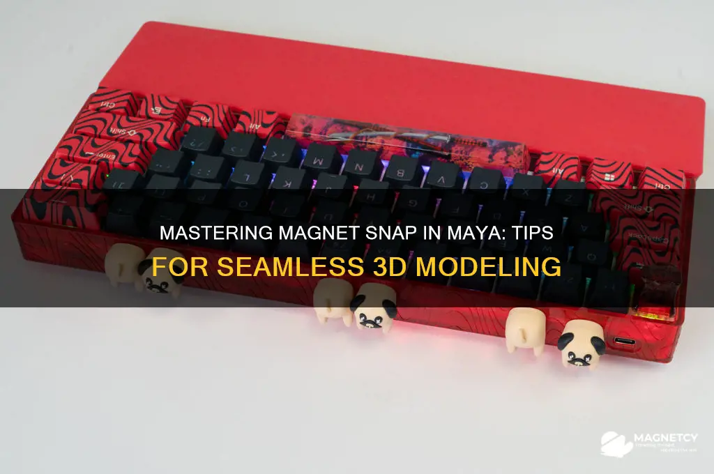 how to use magnet snap in maya