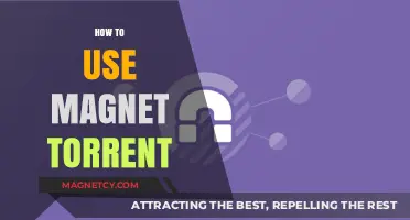 Mastering Magnet Torrents: A Step-by-Step Guide to Efficient Downloading