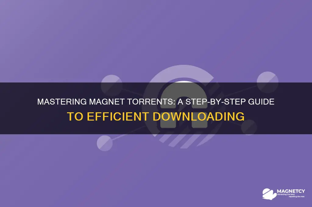 how to use magnet torrent