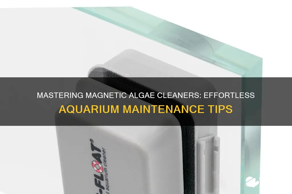 how to use magnetic algae cleaner