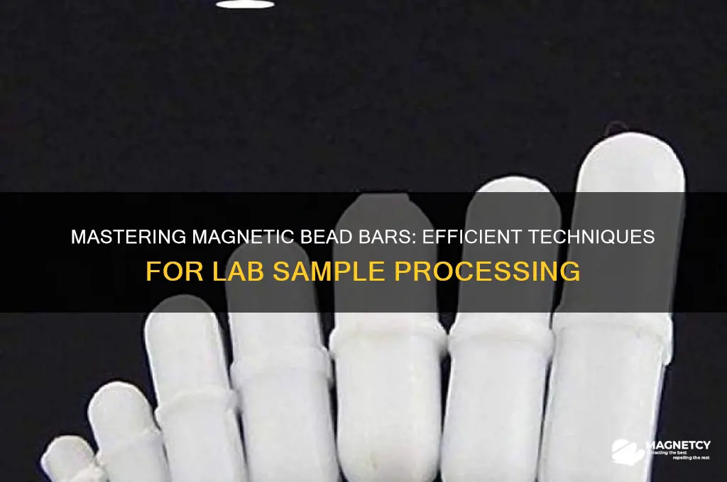 how to use magnetic bead bar