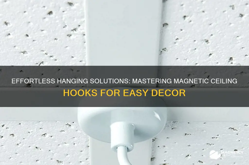 how to use magnetic ceiling hooks