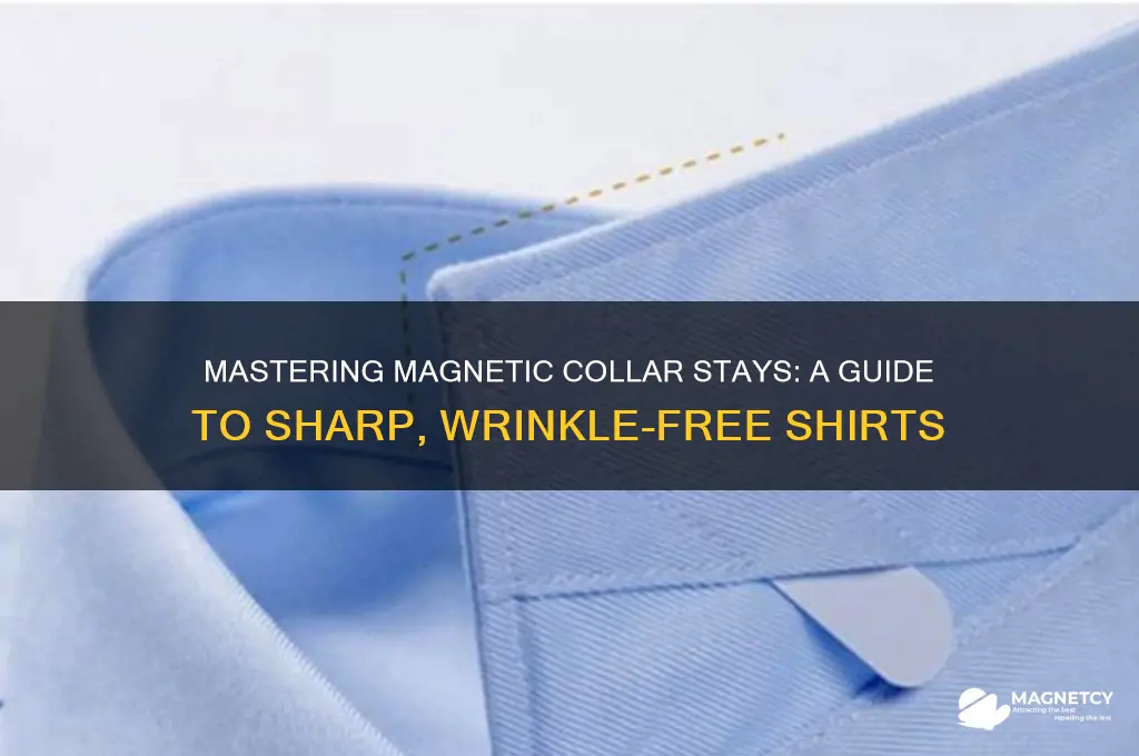how to use magnetic collar stays
