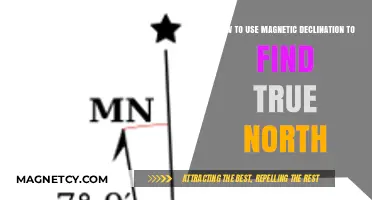 Master Magnetic Declination: Accurately Locate True North with Ease