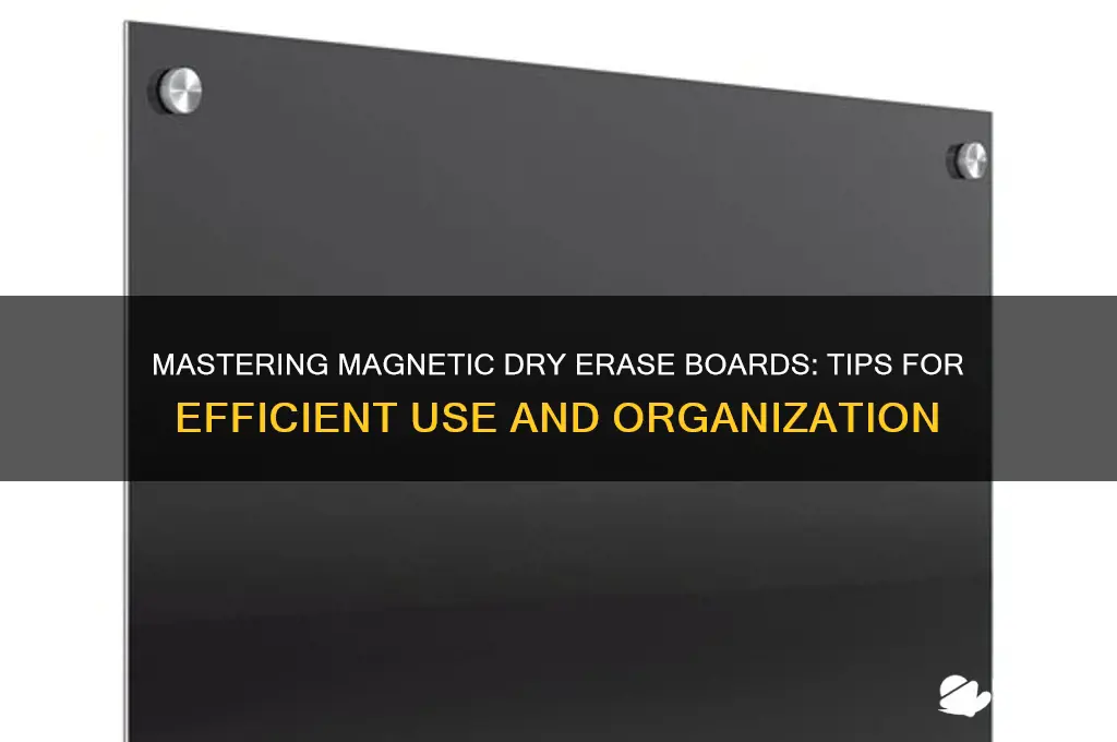 how to use magnetic dry erase board