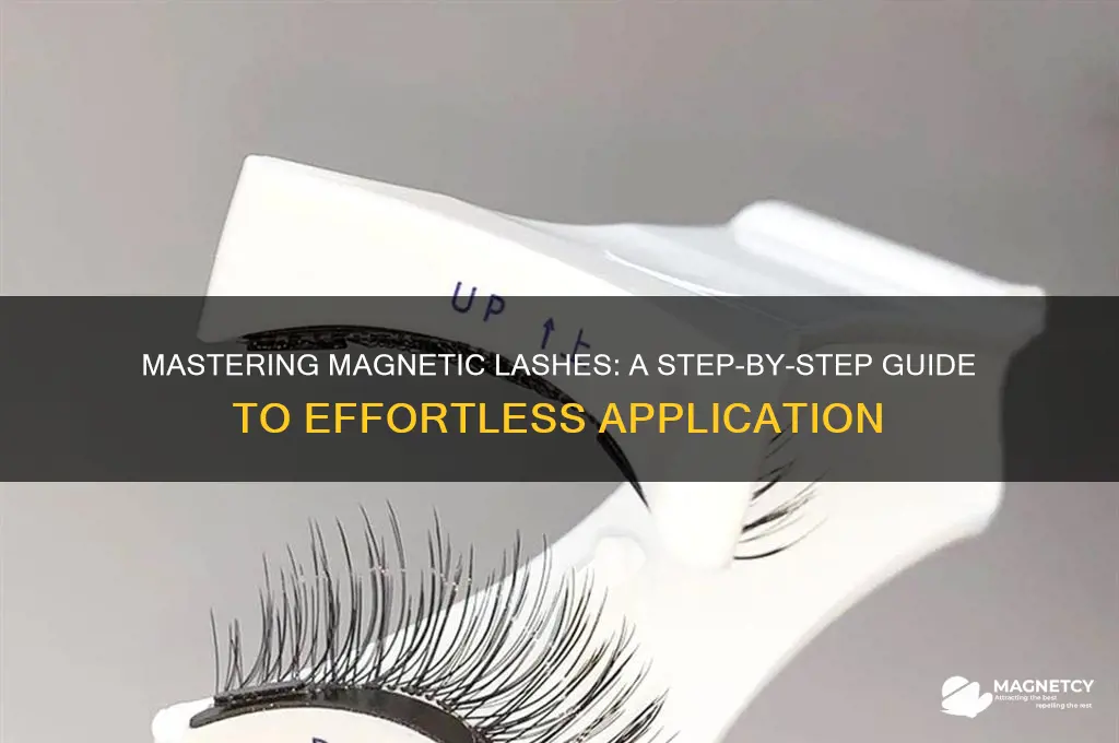 how to use magnetic eyelash applicator