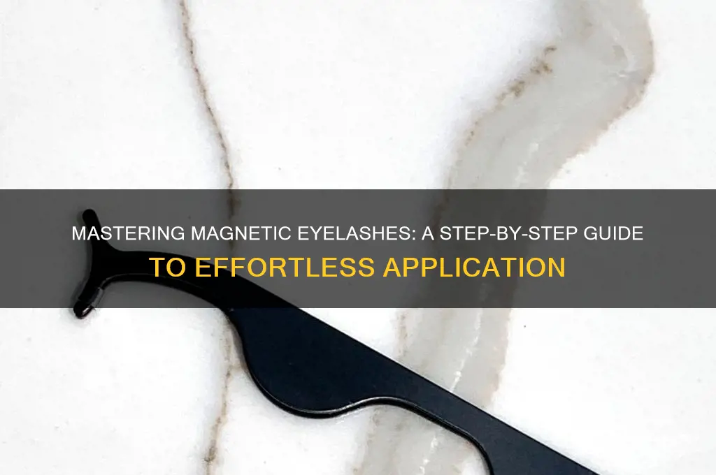 how to use magnetic eyelash tool