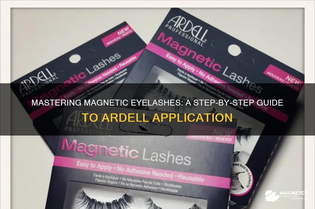 how to use magnetic eyelashes ardell