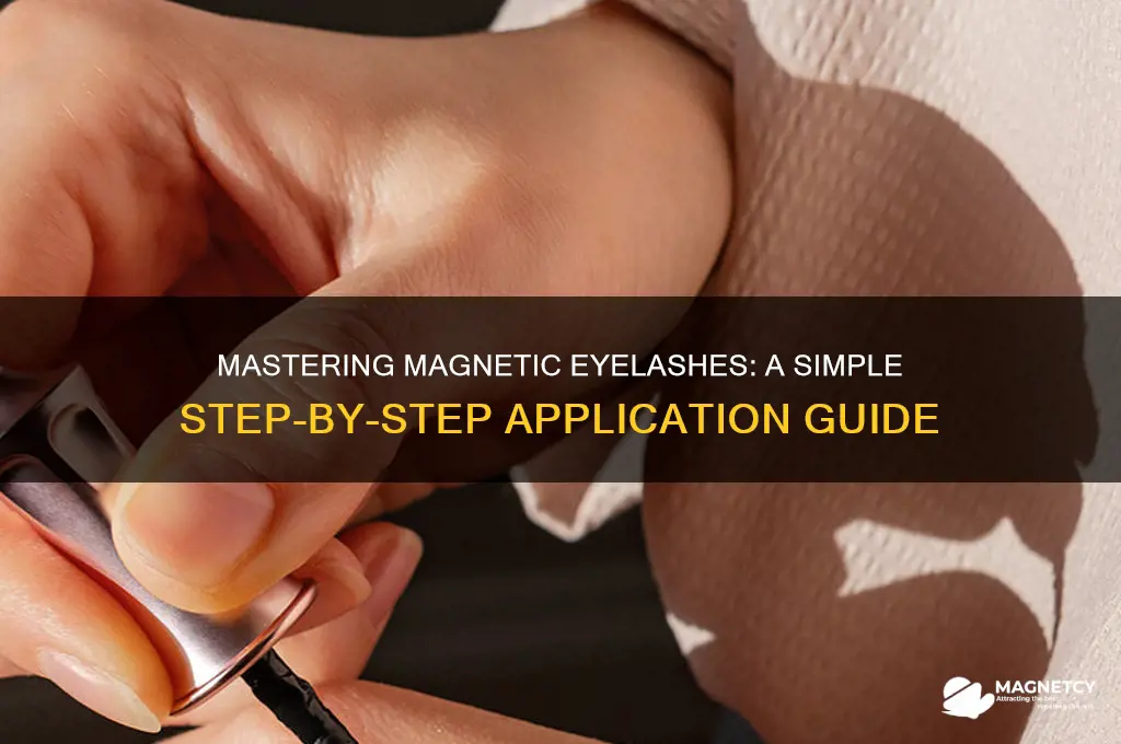 how to use magnetic eyelashes step by step