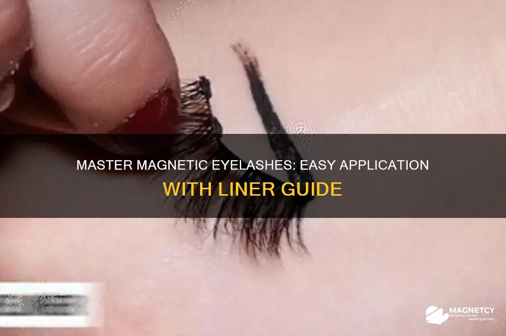 how to use magnetic eyelashes with liner