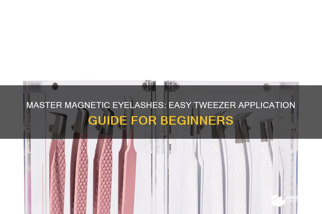 how to use magnetic eyelashes with tweezer