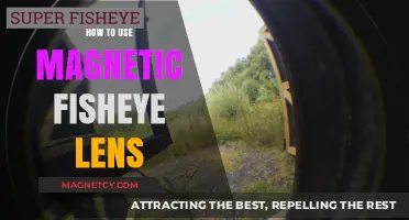 Mastering Magnetic Fisheye Lenses: Creative Photography Tips and Techniques