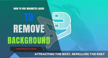 Mastering Magnetic Lasso: Effortlessly Remove Backgrounds in Photoshop