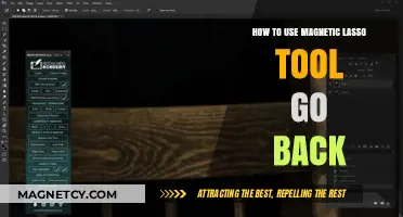 Mastering the Magnetic Lasso Tool: Easy Steps to Undo and Navigate