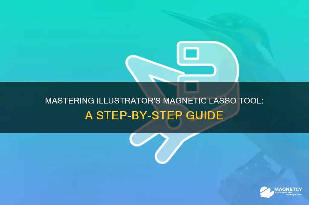 how to use magnetic lasso tool in illustrator